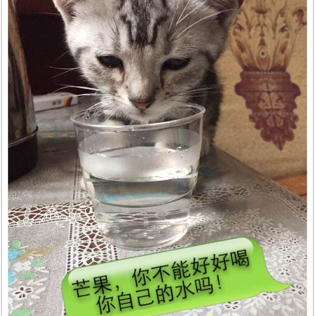 计算机等级考试证书样本资料